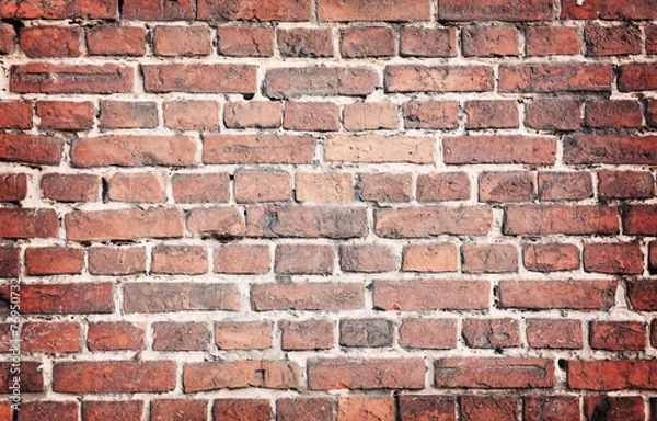 Obraz Brick wall