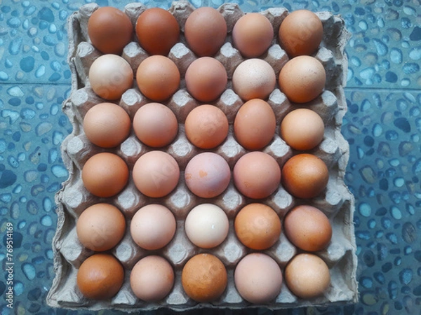 Obraz collection of many chicken eggs in an egg tray at home grocery store