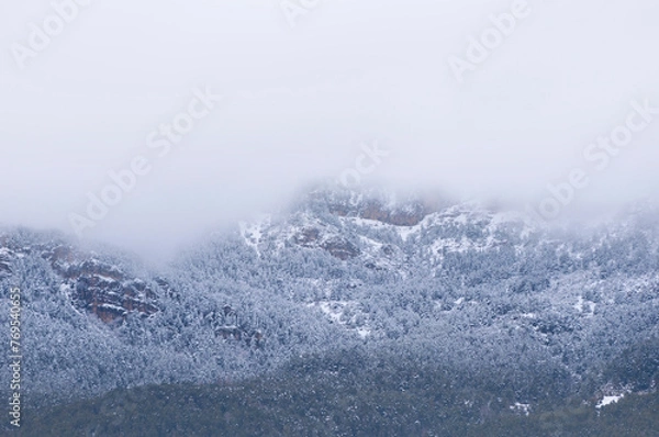 Fototapeta Snowy mountains