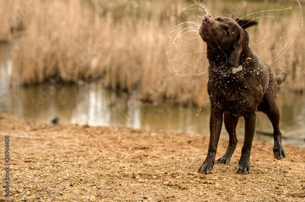 Fototapeta shaking water