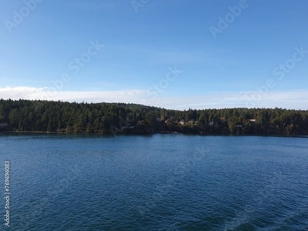 Obraz sea and forest