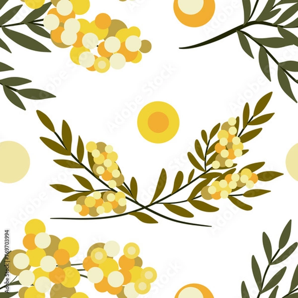 Obraz background with spring flowers mimosas 