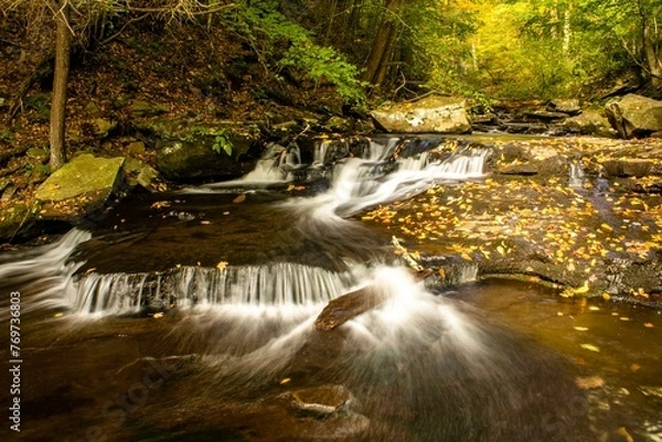 Fototapeta Stream cascading through a forest at Ricketts Glen State Park in Pennsylvania, USA