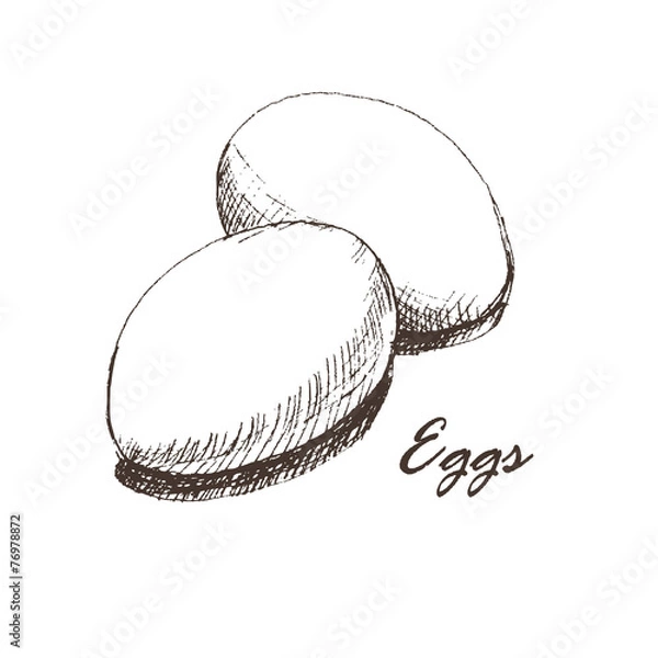 Fototapeta eggs sketch