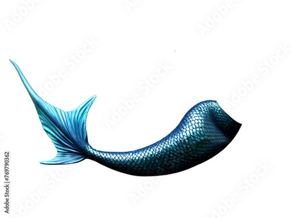 Obraz blue mermaid tail isolated