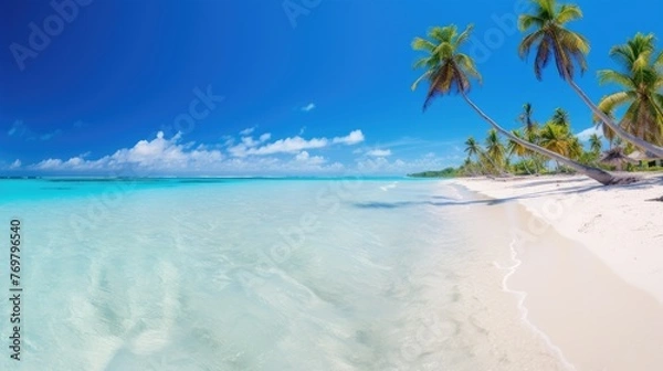 Fototapeta Beautiful palm tree on empty tropical island beach on background blue sky with white clouds and turquoise ocean on a sunny day. The perfect natural landscape for summer vacation, panorama.