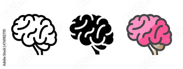 Fototapeta Multipurpose brain vector icon in outline, glyph, filled outline style. Three icon style variants in one pack.