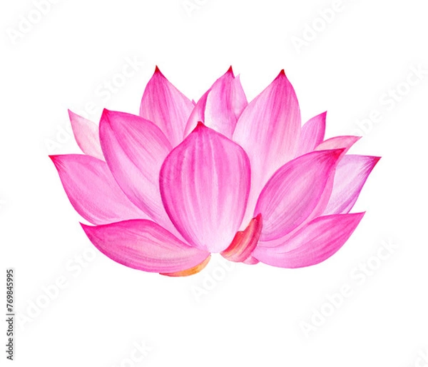 Fototapeta Neon pink lotus flower, watercolor illustration isolated on white. Bright Asian tropical water lily plant for spa and yoga salon, blogs and floral cards