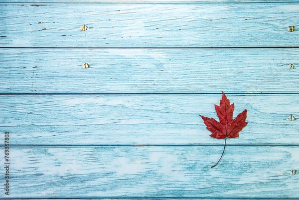 Obraz red leaf on blue wooden background