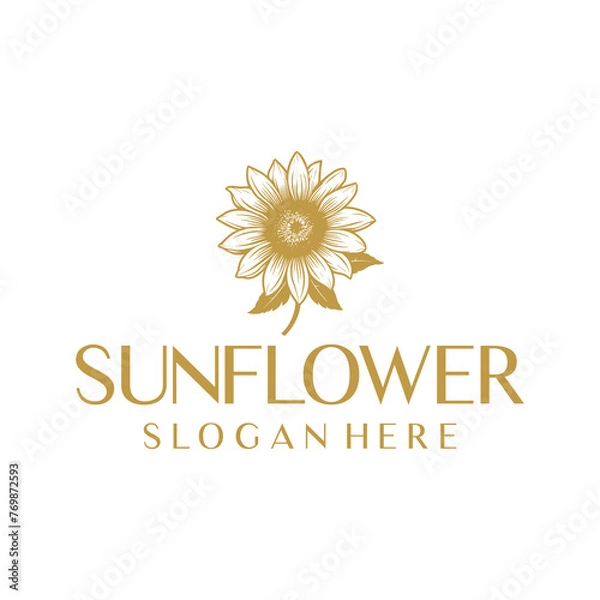 Obraz Sunflower, floral logo vector illustration