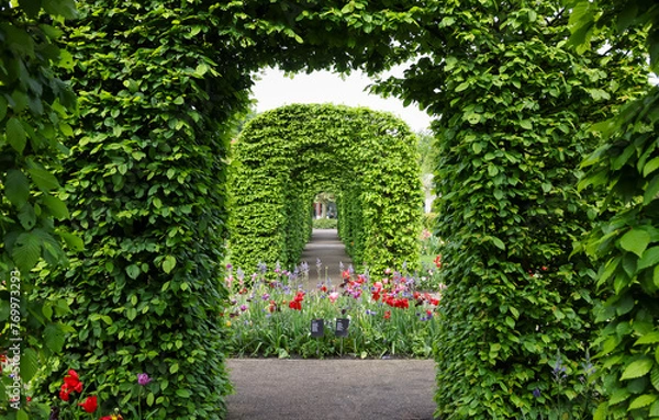 Fototapeta Scenic Keukenhof gardens in Lisse. Netherlands.