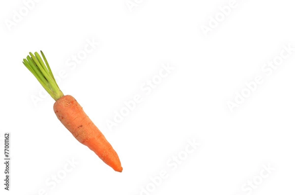 Fototapeta fresh baby carrot