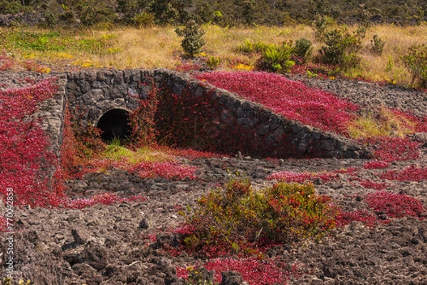 Obraz lava stone culvert