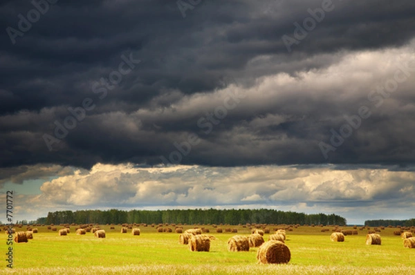 Fototapeta Storm clouds