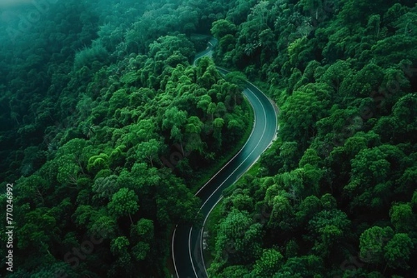 Fototapeta Aerial View of Dense Green Forest with Winding Snake-Like Road – Dramatic Nature Landscape Symbolizing Adventure, Journey, and Exploration. Generative AI