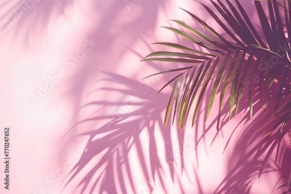Fototapeta Tropical Green Palm Leaves Casting Shadows on Pink Background – Minimalist Summer Concept for Beauty, Wellness, and Modern Design. Generative AI