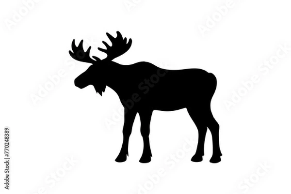 Obraz moose silhouette vector illustration