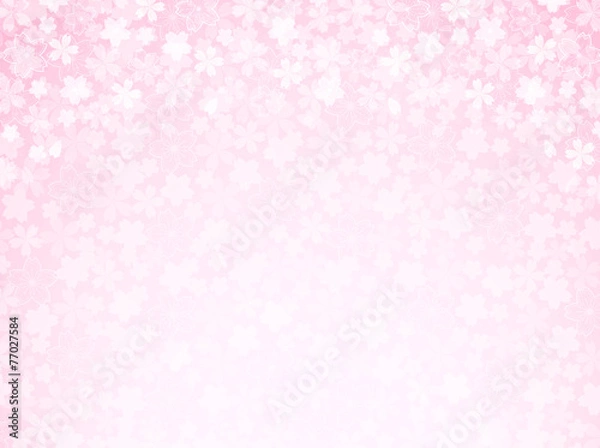 Fototapeta 桜　花　背景