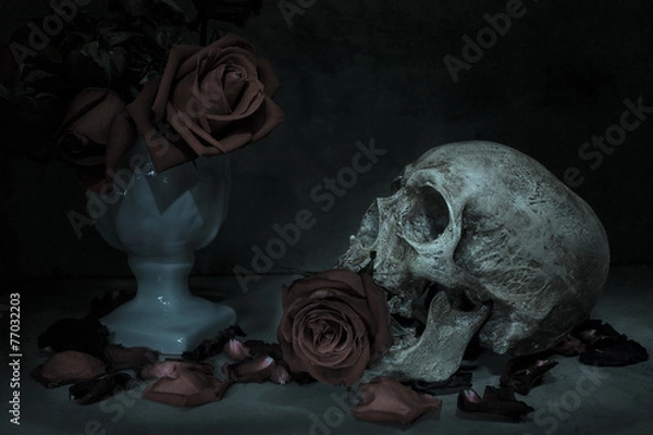 Obraz Still life human skull
