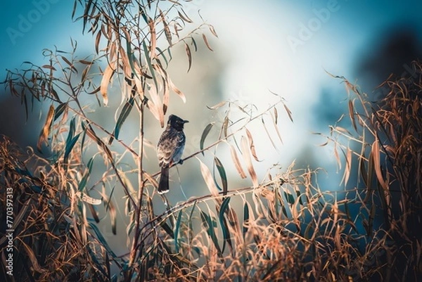 Obraz birds on the tree