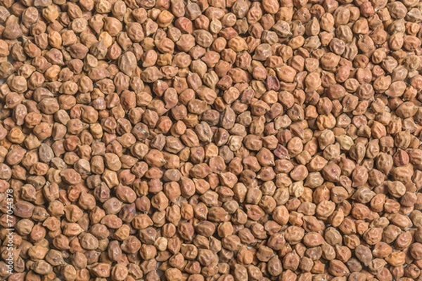Obraz Black Chickpea