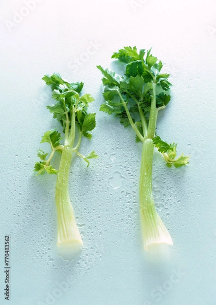 Fototapeta Fresh green celery