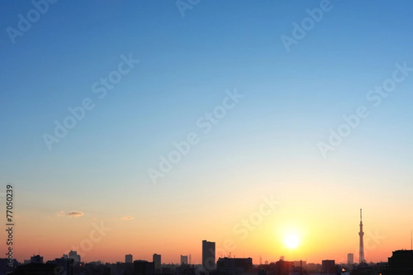 Fototapeta 朝焼けの東京