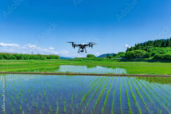 Obraz 田んぼの上を飛ぶ農業用ドローン