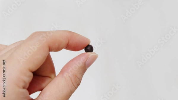 Obraz Fingers holding a small black ball, which is a traditional form of Chinese medicine. With copy space on the right.