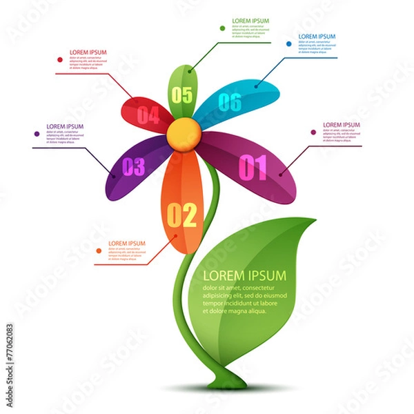 Obraz flower infographic