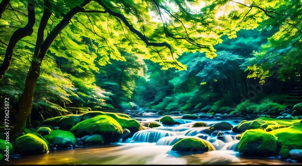 Obraz forest in the forest