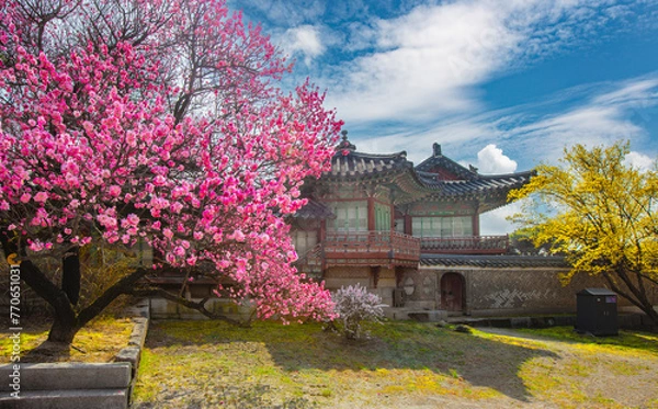 Fototapeta 창덕궁의 봄