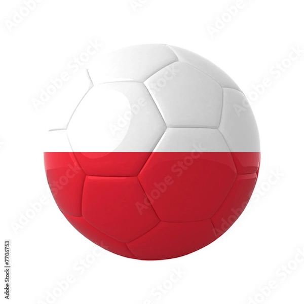 Obraz Polish soccer.