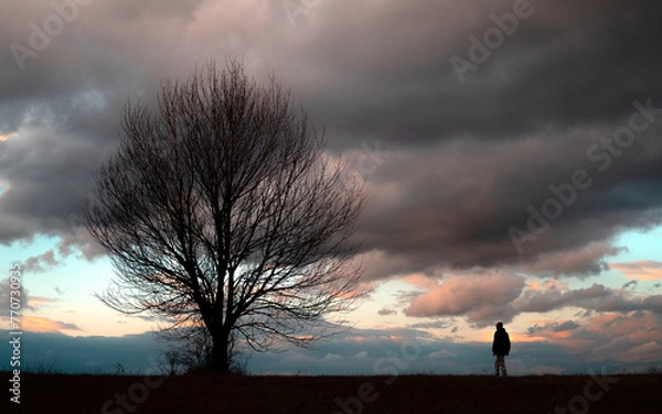 Obraz sunset in the mountains