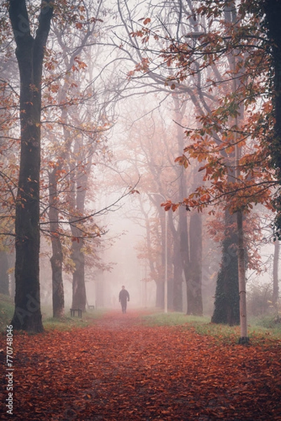 Obraz autumn in the forest