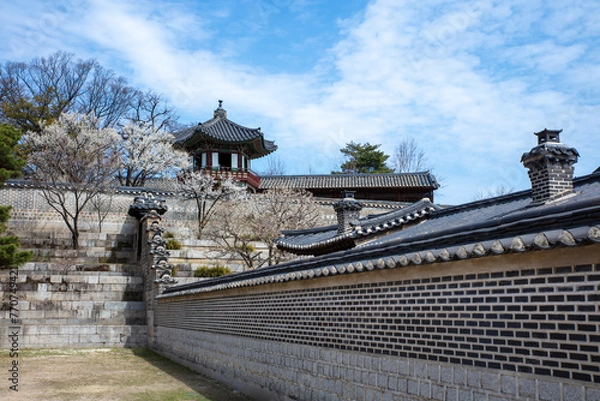 Fototapeta 고궁의 봄