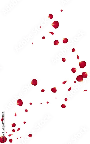 Fototapeta Red_Rose_Petal_Vector_Background_222.eps