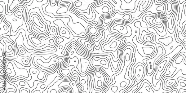 Fototapeta Topographic map and landscape terrain texture grid. Abstract lines background. Contour maps. Vector illustration. black and white topographic contours lines of mountains.	
