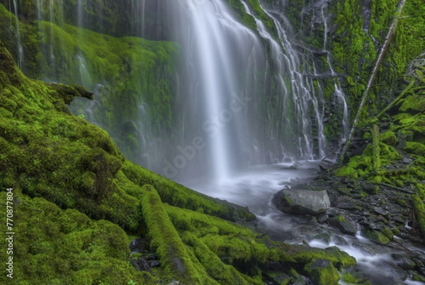 Obraz Seeing Beyond The Veil