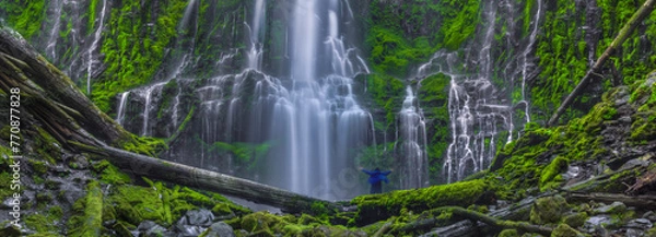 Obraz The Euphoria Experience 2