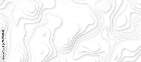 Fototapeta Abstract geometric layered curve line white background. 3d render, paper cut vector art background banner texture. multi layer cutout geometric patterns with smooth wavy layer. white background. 
