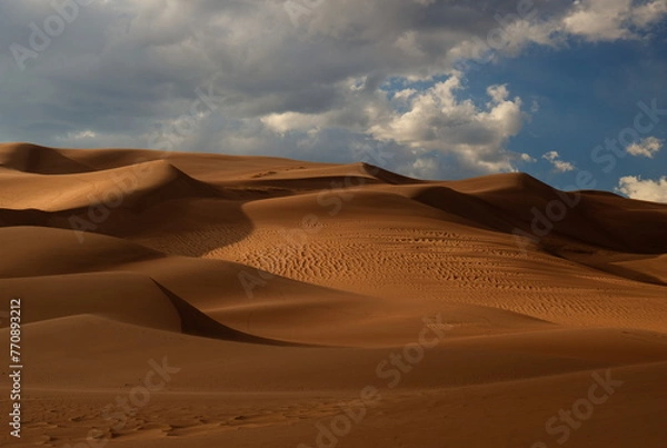 Obraz Dunes And Light