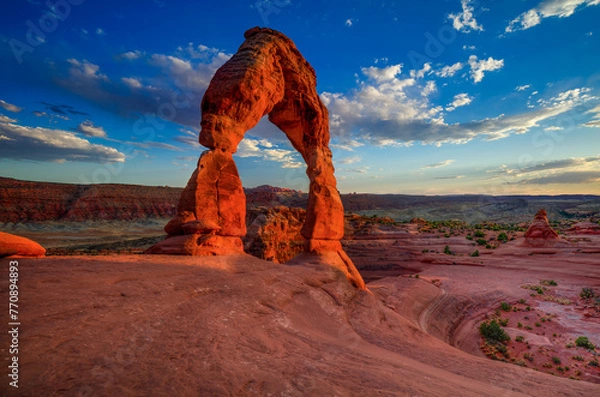 Obraz Grace Under Pressure