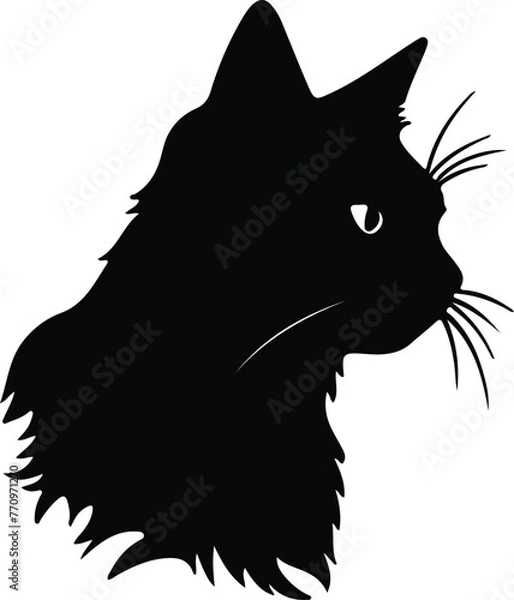 Fototapeta Pixiebob Cat portrait