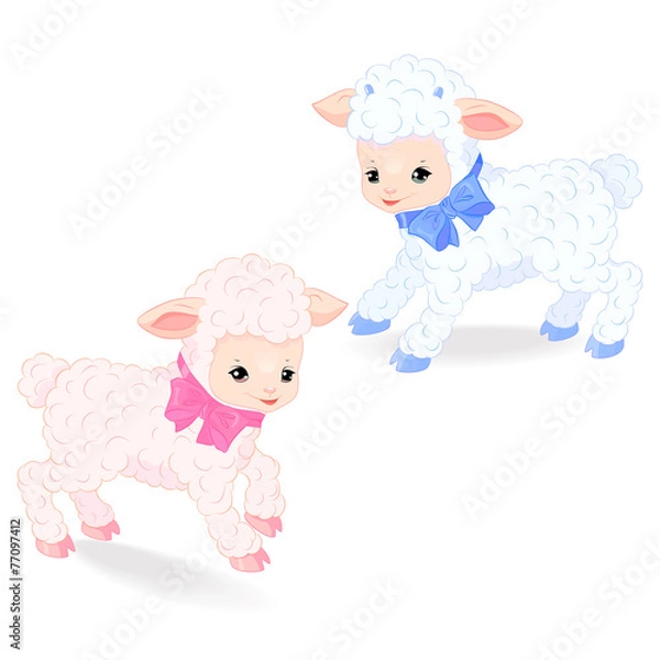 Fototapeta Little lambs