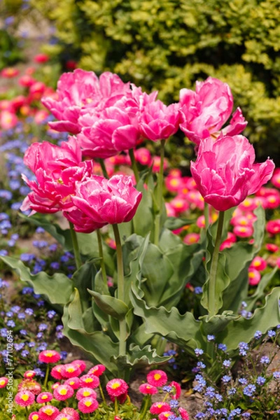 Fototapeta spring garden