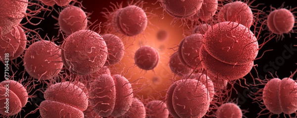 Fototapeta Bacteria Neisseria gonorrhoeae or Neisseria meningitidis, gonococcus and meningococcus. 3D Rendering