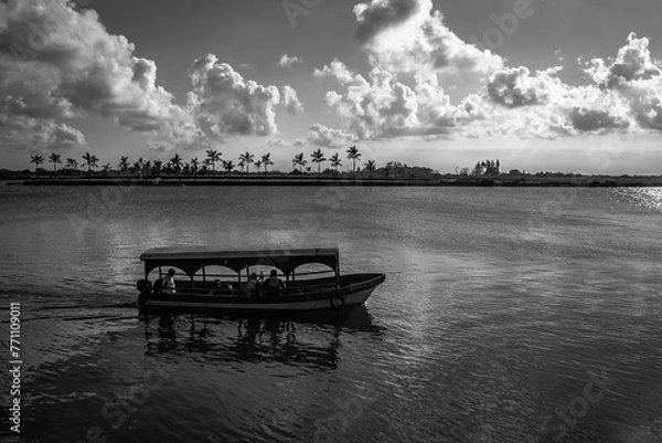 Obraz boat on the lake
