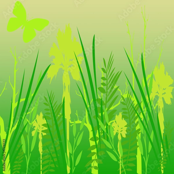 Fototapeta Blumenwiese