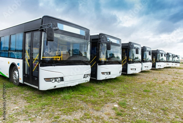 Fototapeta Many electric driven new energy buses are neatly parked in outdoor parking lots